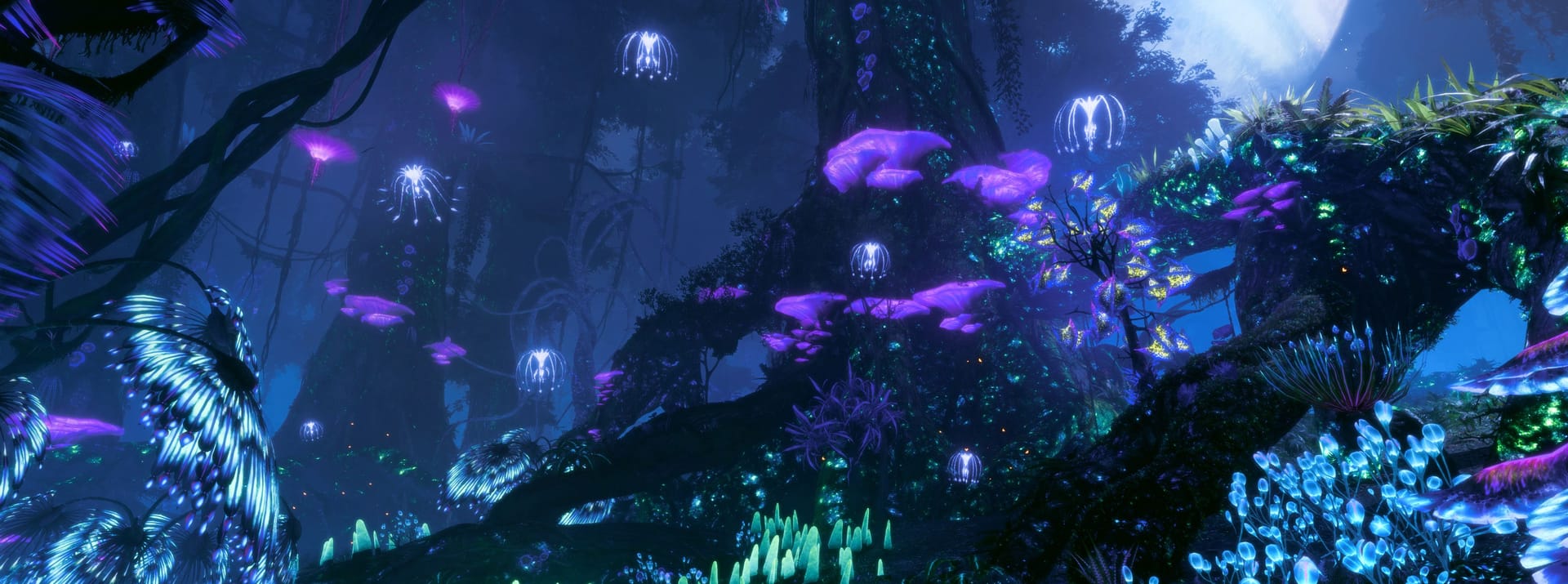 Pandora bei Nacht: So schön können die verschiedenen Biome sein.