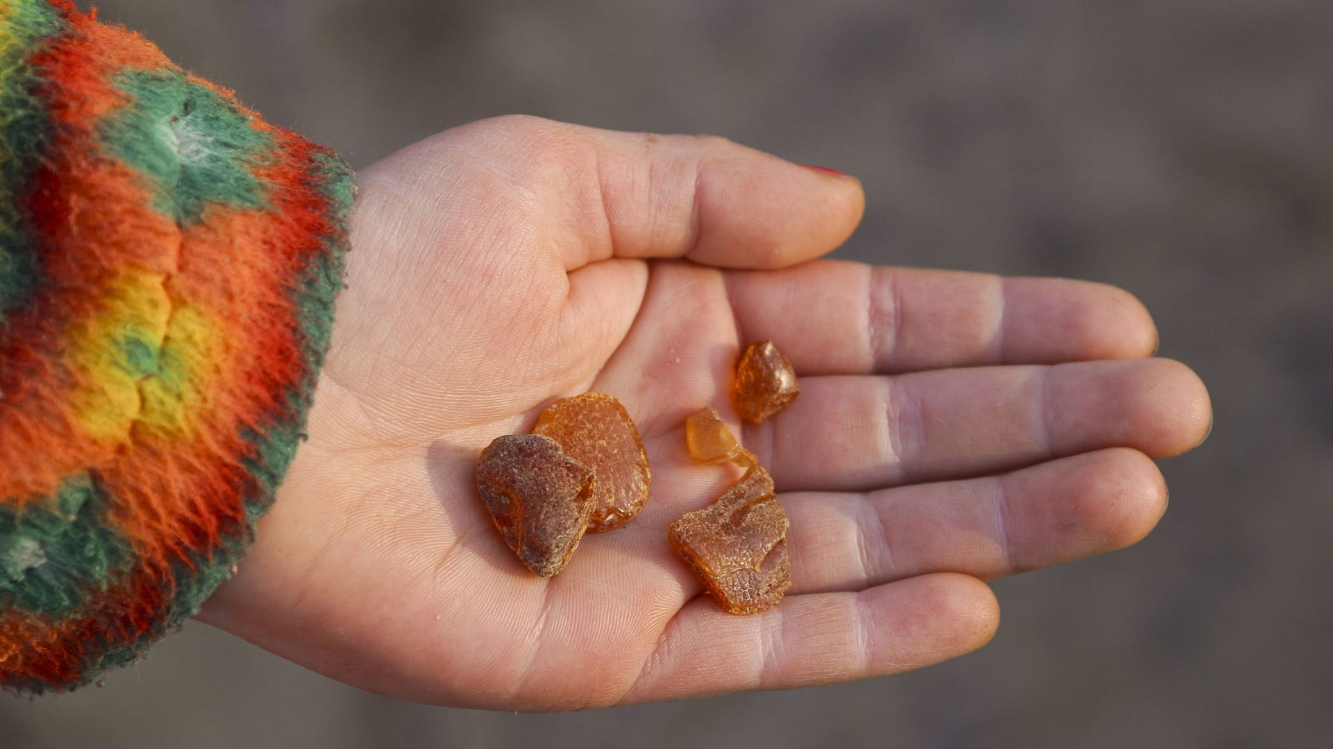 Bernstein gilt als "Gold des Meeres": Speziell im Herbst und Winter stehen die Chancen gut, das fossile Harz zu finden.