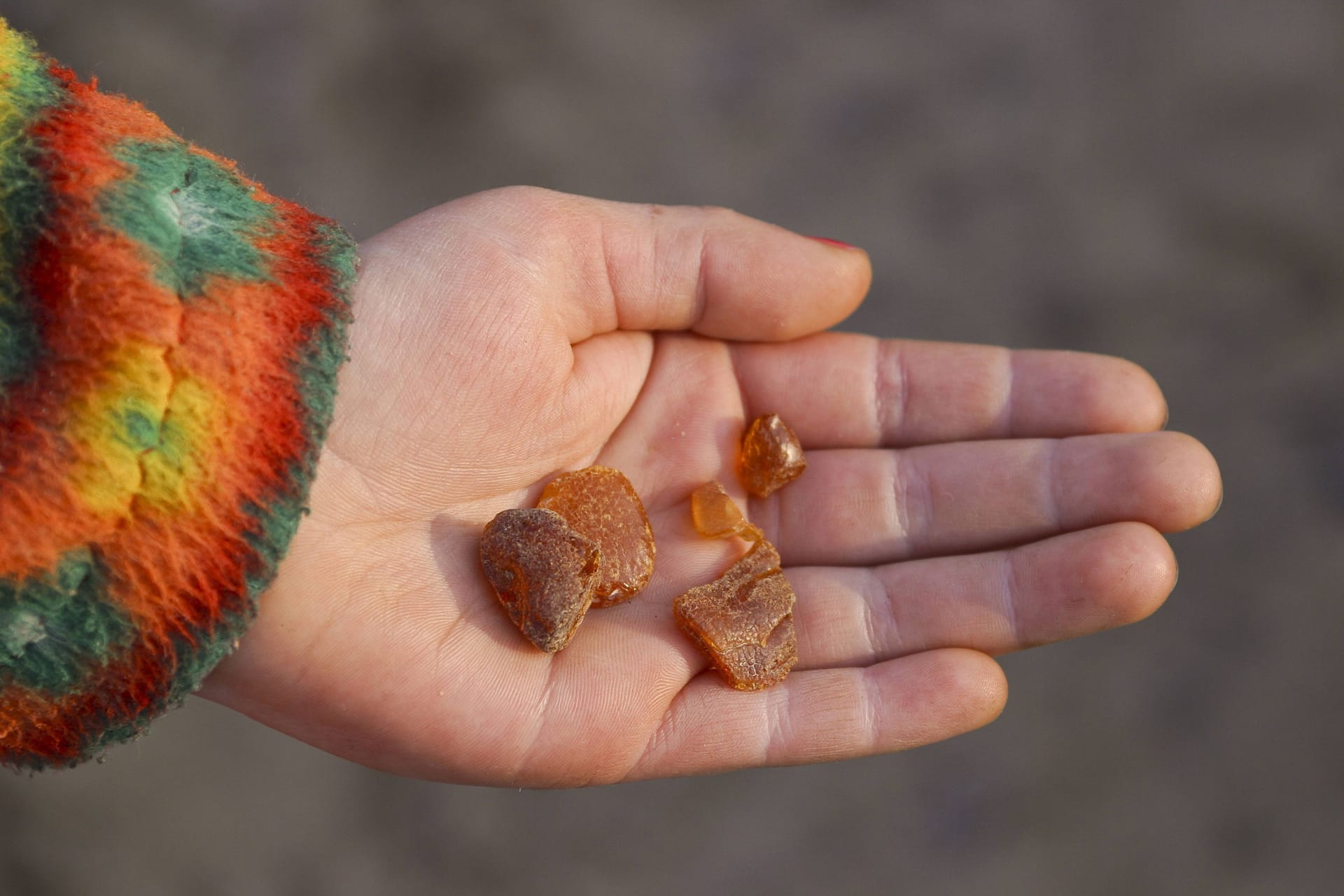 Bernstein gilt als "Gold des Meeres": Speziell im Herbst und Winter stehen die Chancen gut, das fossile Harz zu finden.