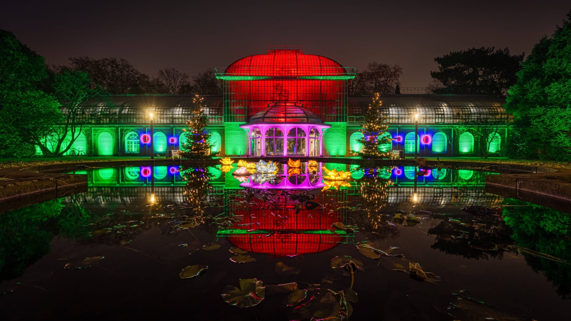 Bis zum 14. Januar noch strahlt der Palmengarten in den bunten Farben der Winterlichter.