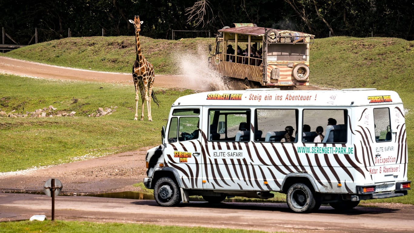 Ein Besucherbus fährt an den Giraffen im Park vorbei (Archivbild): Das Gelände ist teilweise nur noch schwer zu erreichen.