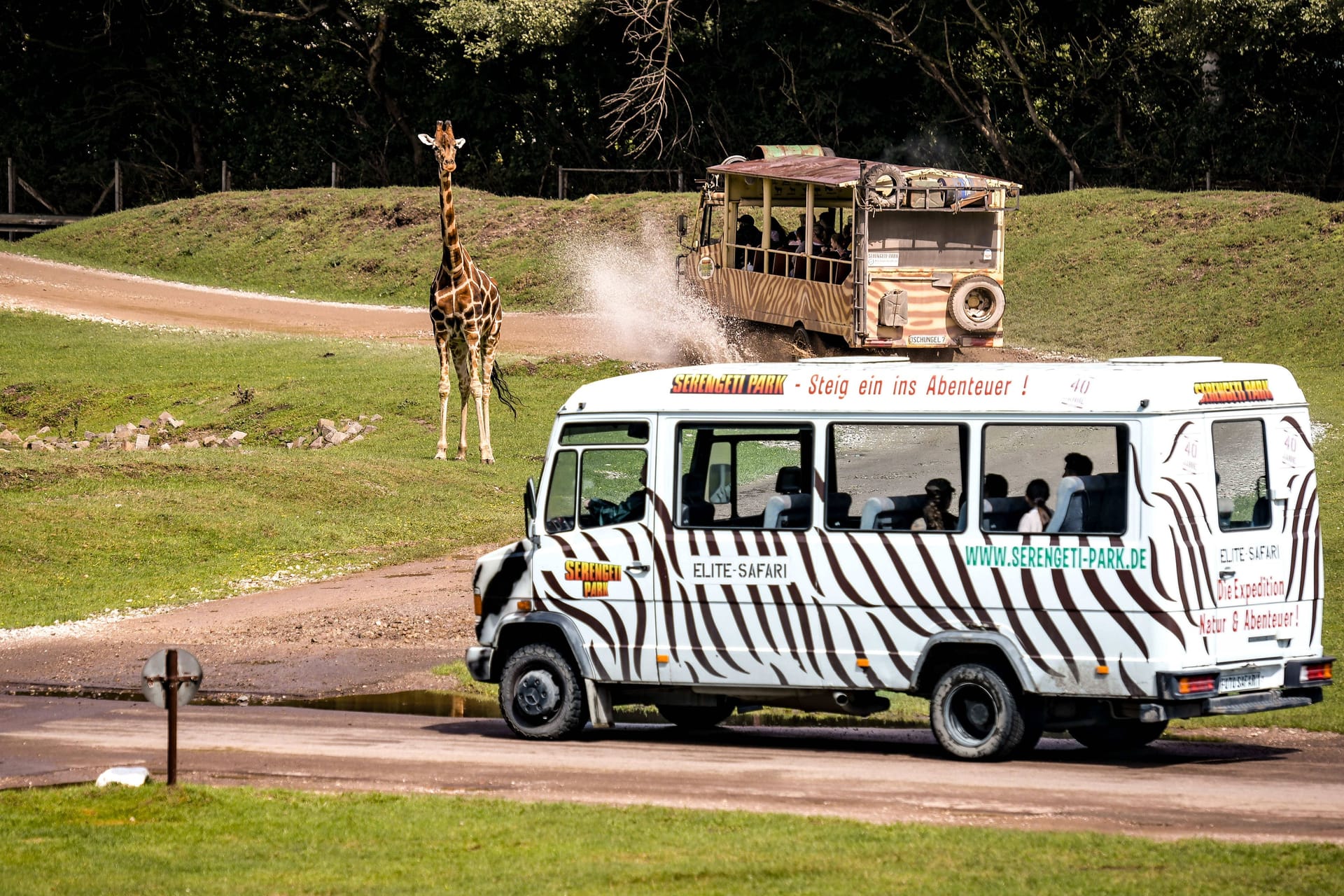 Ein Besucherbus fährt an den Giraffen im Park vorbei (Archivbild): Das Gelände ist teilweise nur noch schwer zu erreichen.