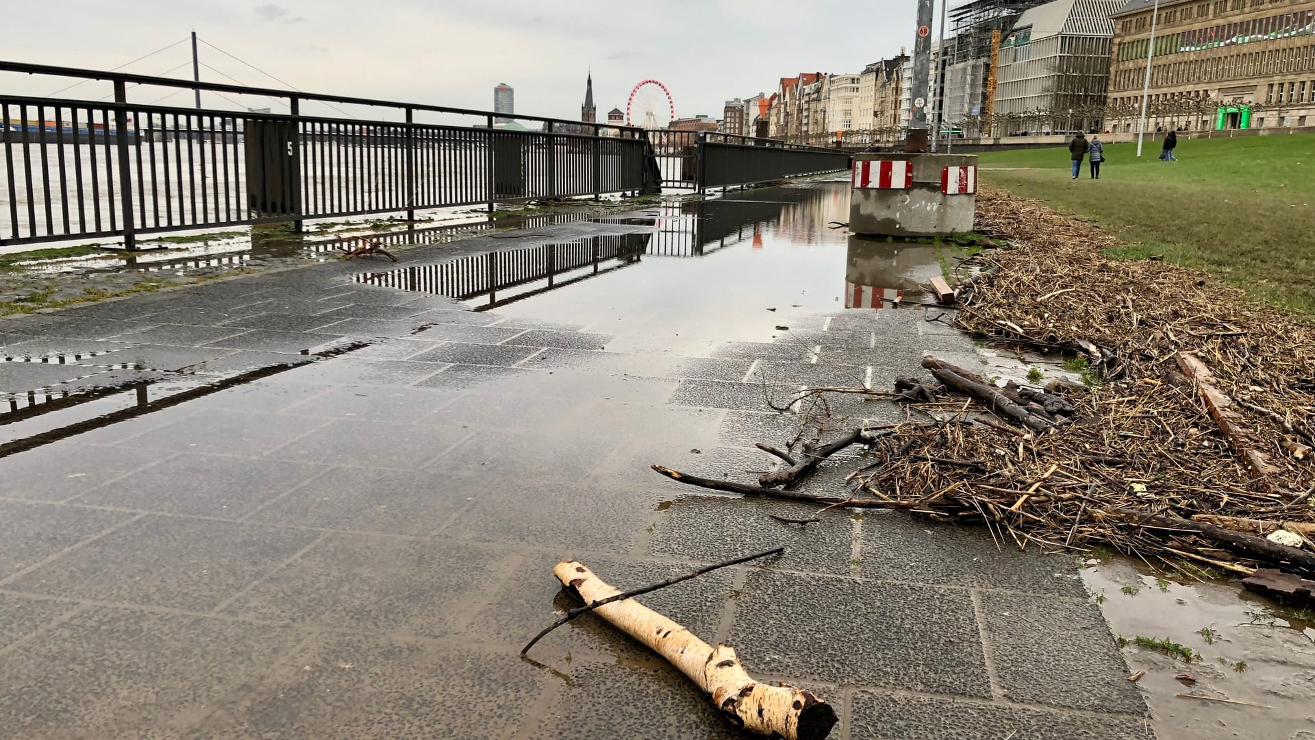 Das Treibgut liegt noch am Unteren Rheinwerft. Das Wasser ist wieder zurückgegangen.