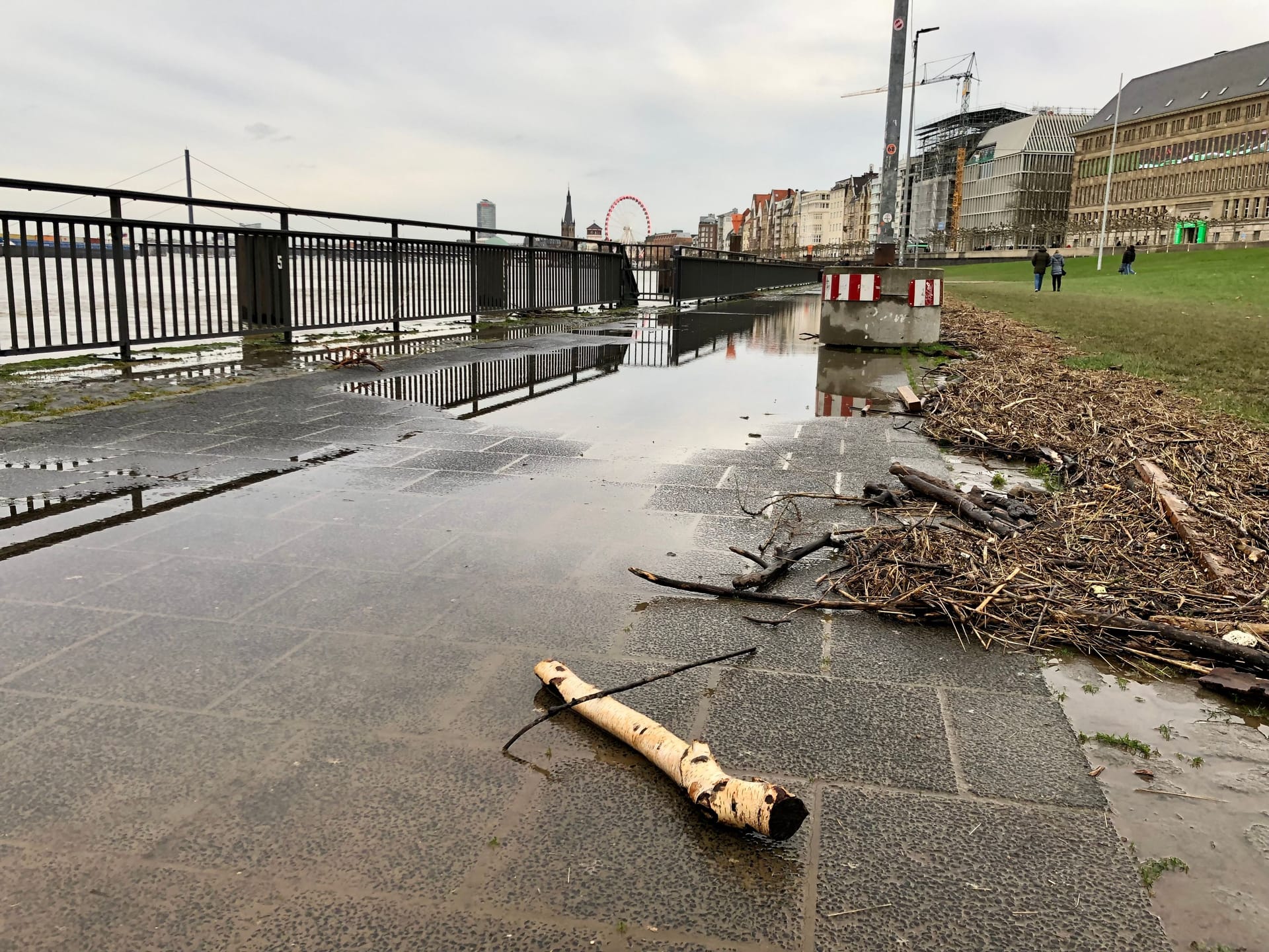 Das Treibgut liegt noch am Unteren Rheinwerft. Das Wasser ist wieder zurückgegangen.