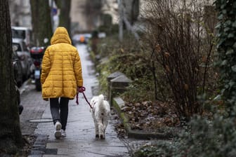 Eine Frau mit Hund läuft im Regen (Symbolbild): Das Wetter in NRW wird nass, bei milden Temperaturen.