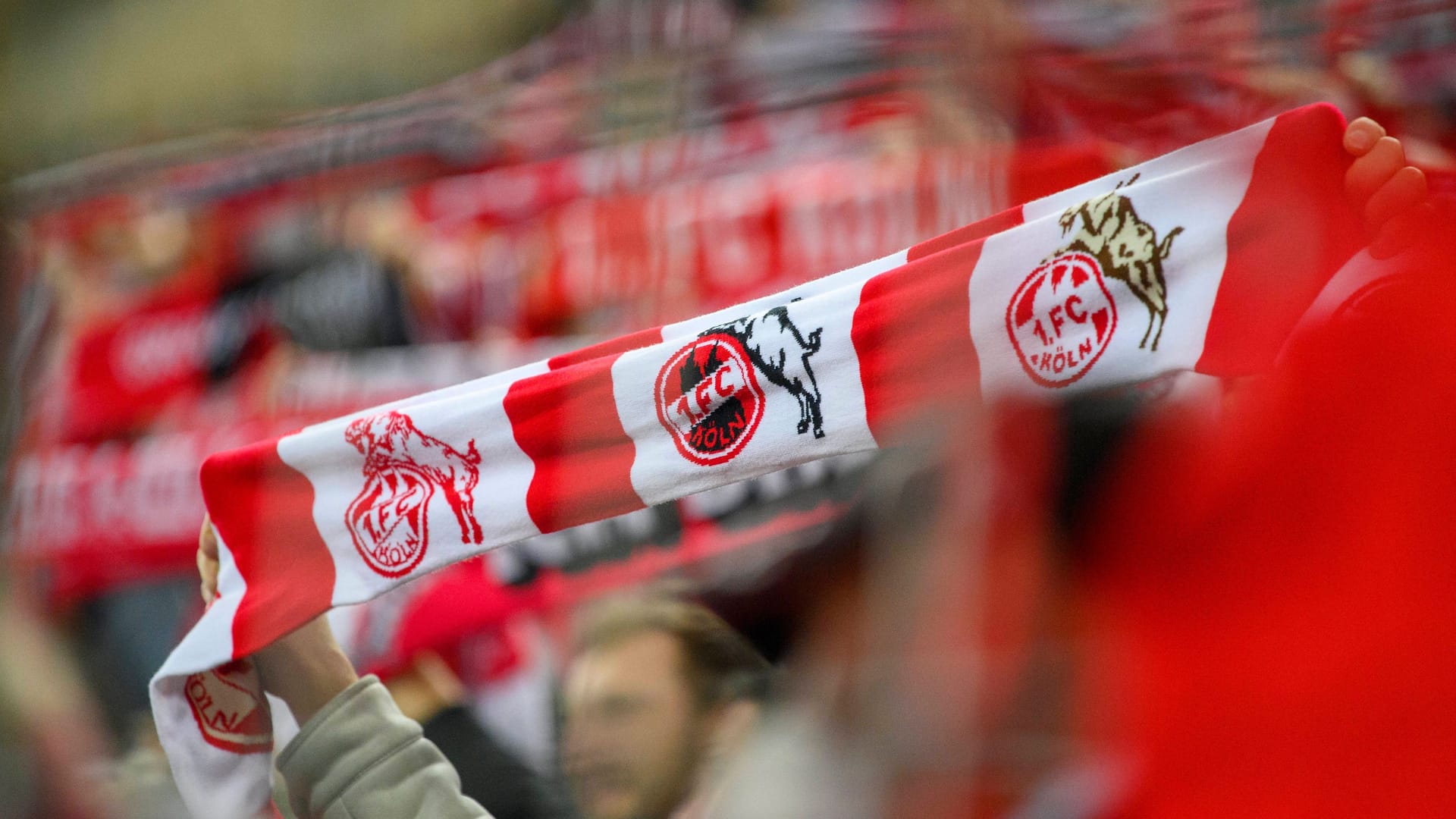 Das Rheinenergiestadion in Müngersdorf (Symbolbild): Am Sonntag will der FC gemeinsam mit seinen Fans ein Zeichen für Menschenrechte setzten.