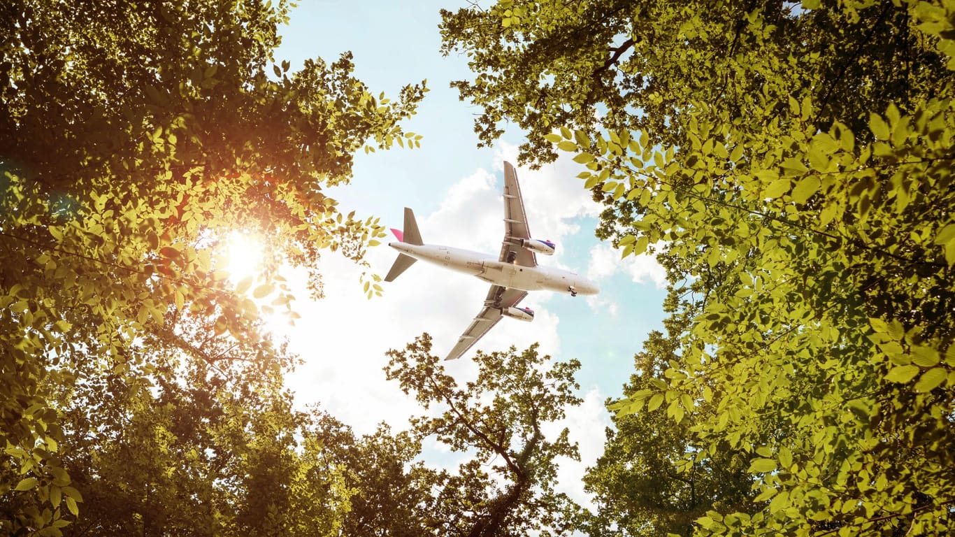 Flugzeug überquert ein Waldgebiet