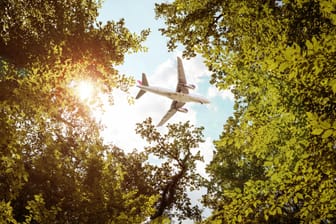 Flugzeug überquert ein Waldgebiet