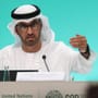 Klimakonferenz COP28 in Dubai: Expertin äußert im Interview Kritik