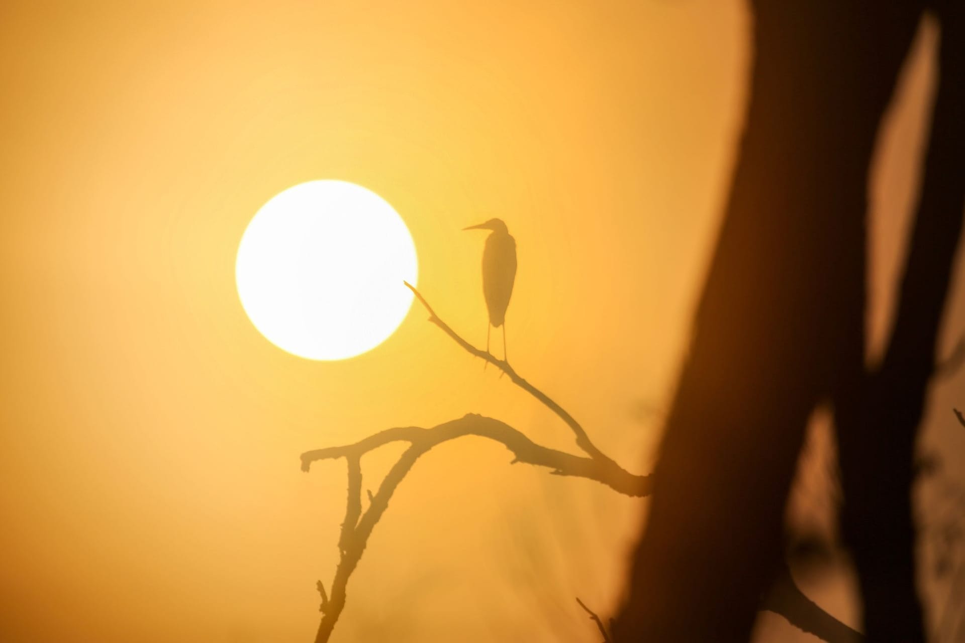 Sonnenaufgang