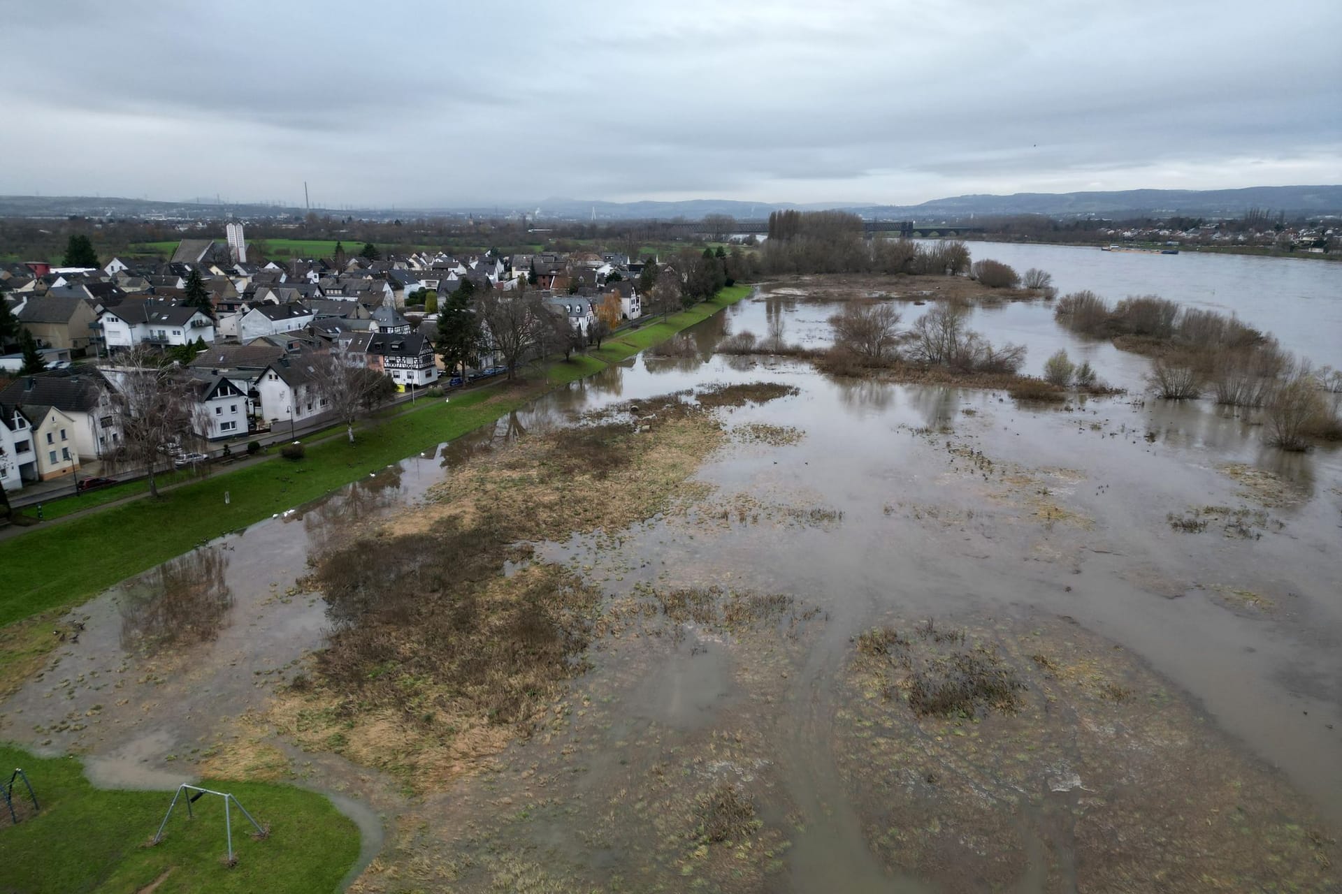 Hochwasser am Rhein