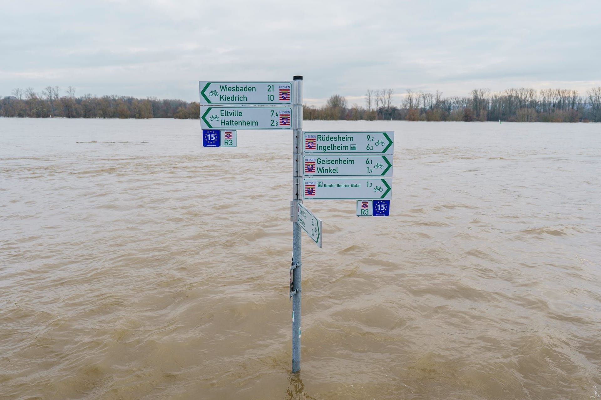 Hochwasser am Rhein