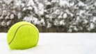 Tennisball im Schnee: Der Trick soll Tiere retten.