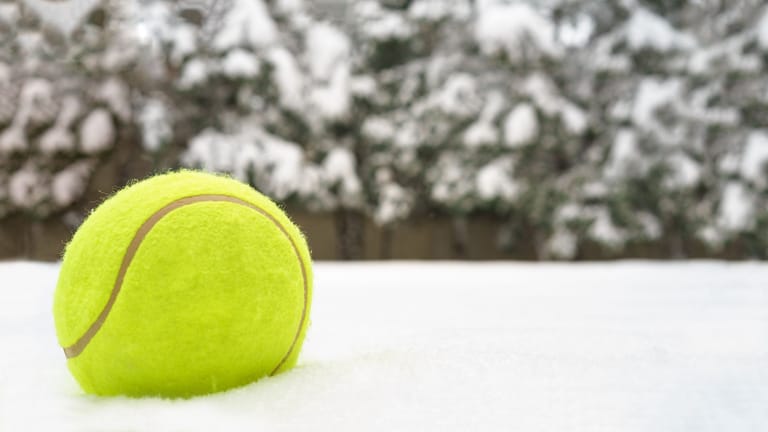 Tennisbälle im Garten So können Sie im Winter Tiere retten