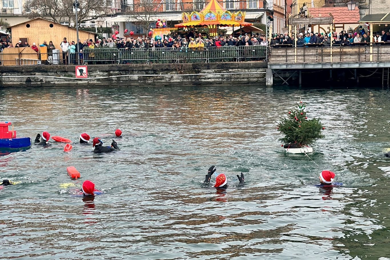 Nikolausschwimmen im Bodensee