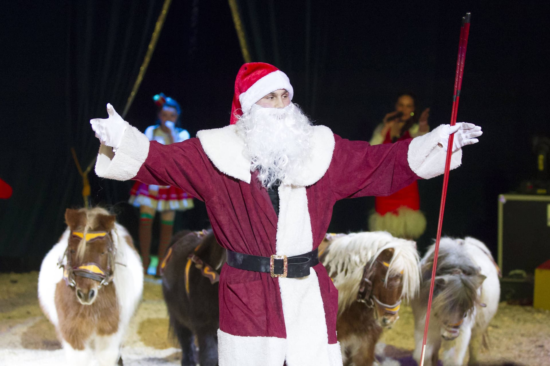 Eine Aufführung im Wiesbadener Weihnachtscircus (Archivbild): Im Zentrum der Proteste stehen Tiershows.