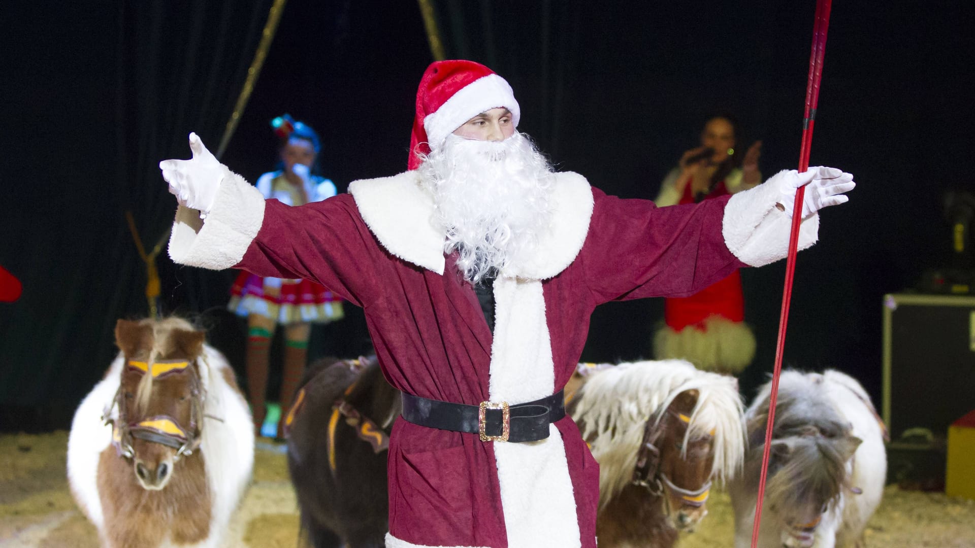 Eine Aufführung im Wiesbadener Weihnachtscircus (Archivbild): Im Zentrum der Proteste stehen Tiershows.