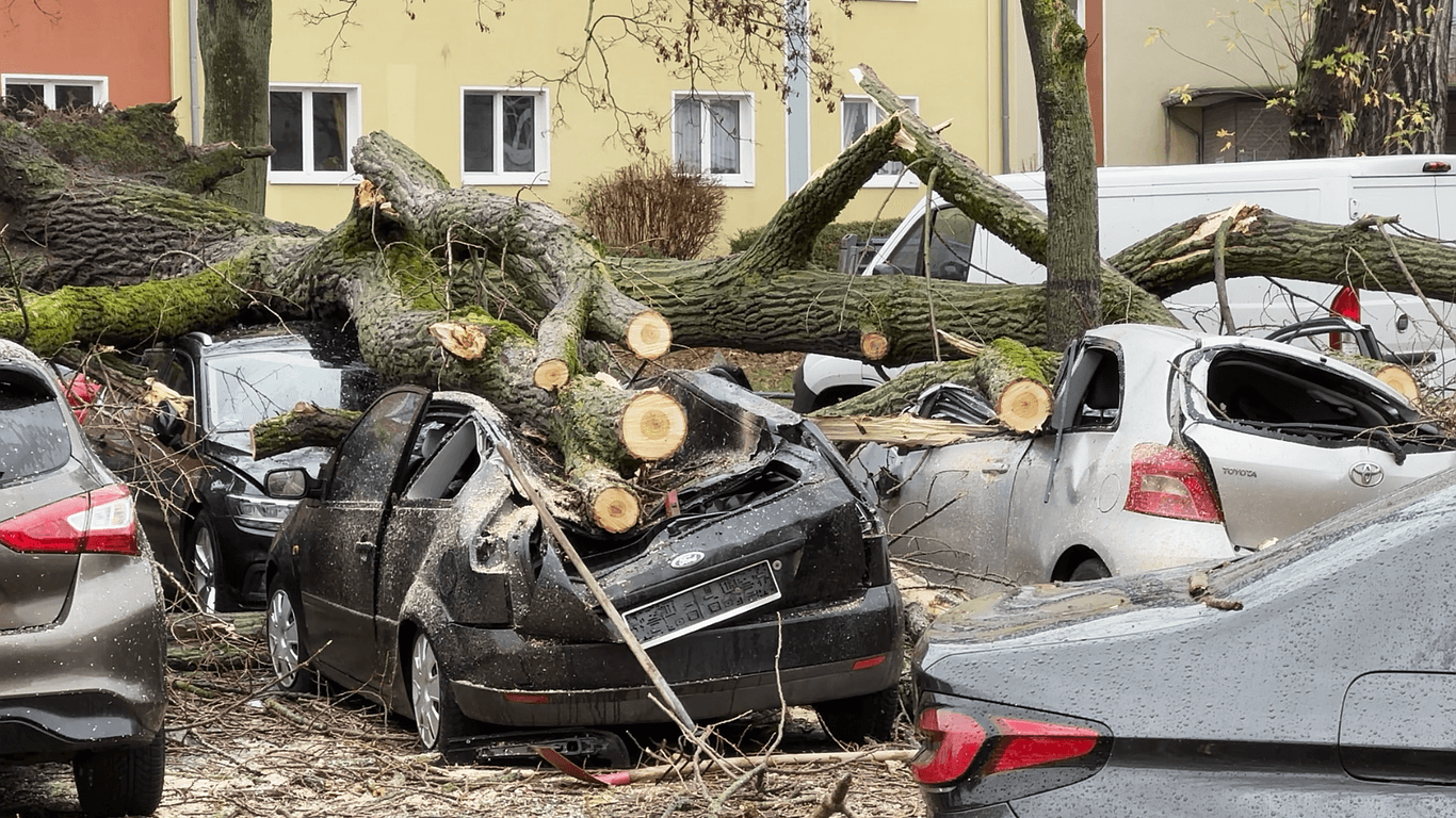 Folgen des Sturms: Durch eingestürzte Bäume sind beim Sturm Autos beschädigt worden, wie hier am Marktplatz in Zollstock: