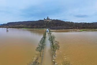 Hochwasser und Überschwemmungen: Auch die Leine in der Region Hannover ist von den tagelangen starken Regenfällen betroffen.