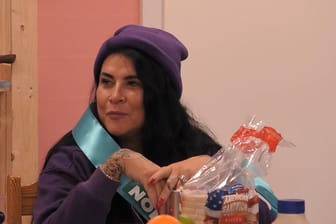 Promi Big Brother, 11. Staffel, 2023