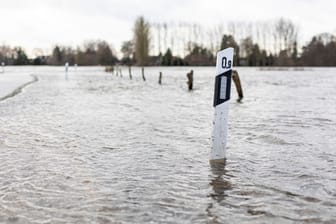Hochwasser in Niedersachsen: Eine Straße zum Ortsteil Jeversen der Gemeinde Wietze im Landkreis Celle ist überflutet.