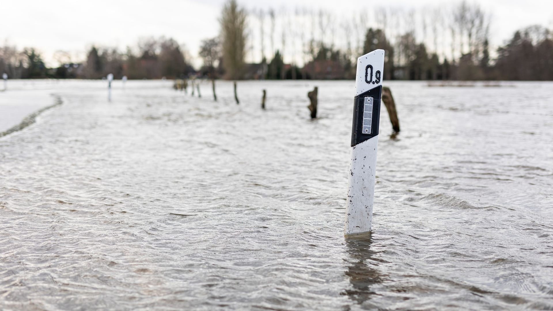 Hochwasser in Niedersachsen: Eine Straße zum Ortsteil Jeversen der Gemeinde Wietze im Landkreis Celle ist überflutet.