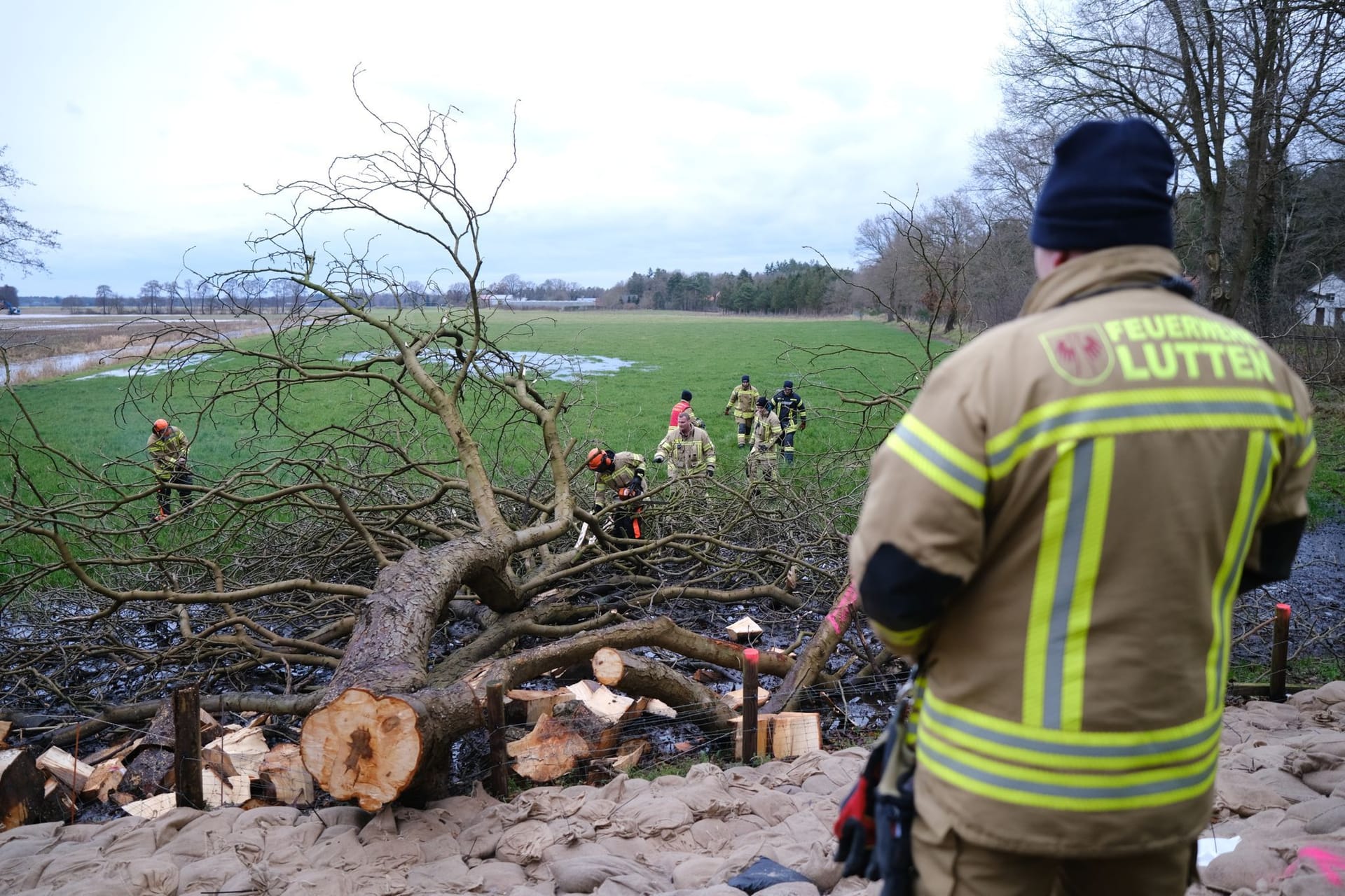 Folgen des Hochwassers in Niedersachsen: Feuerwehrleute zersägen einen umgestürzten Baum bei Sandkrug.