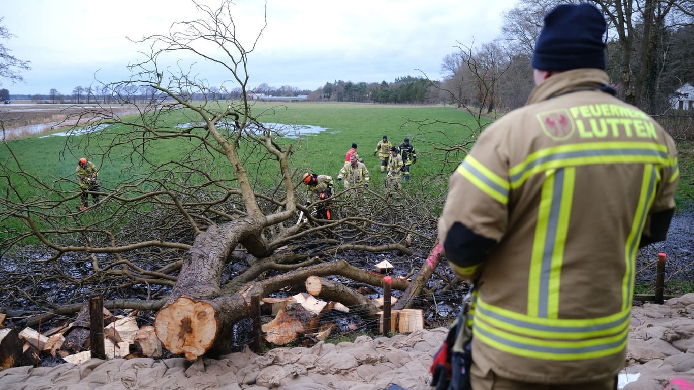 Folgen des Hochwassers in Niedersachsen: Feuerwehrleute zersägen einen umgestürzten Baum bei Sandkrug.