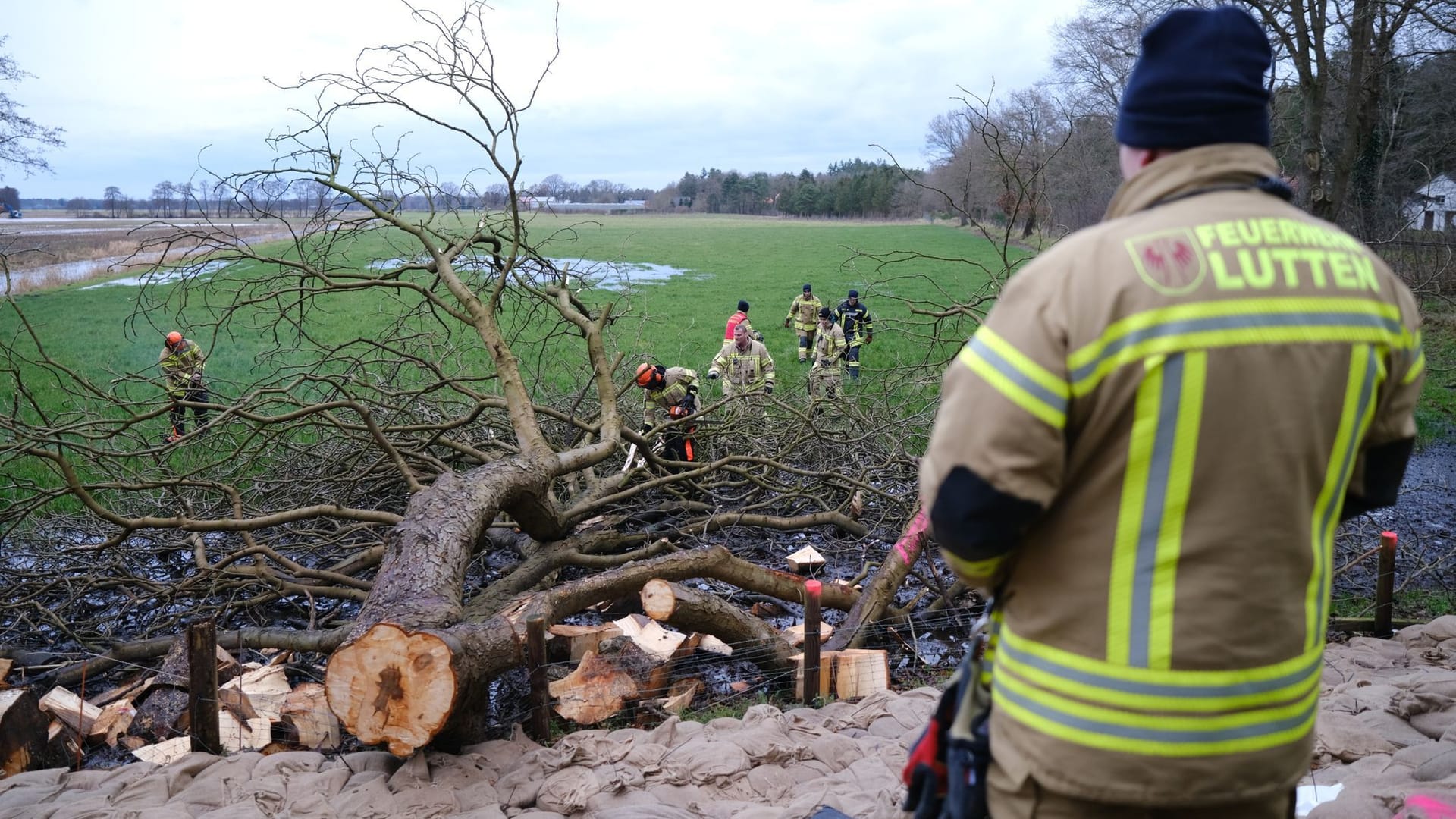 Folgen des Hochwassers in Niedersachsen: Feuerwehrleute zersägen einen umgestürzten Baum bei Sandkrug.