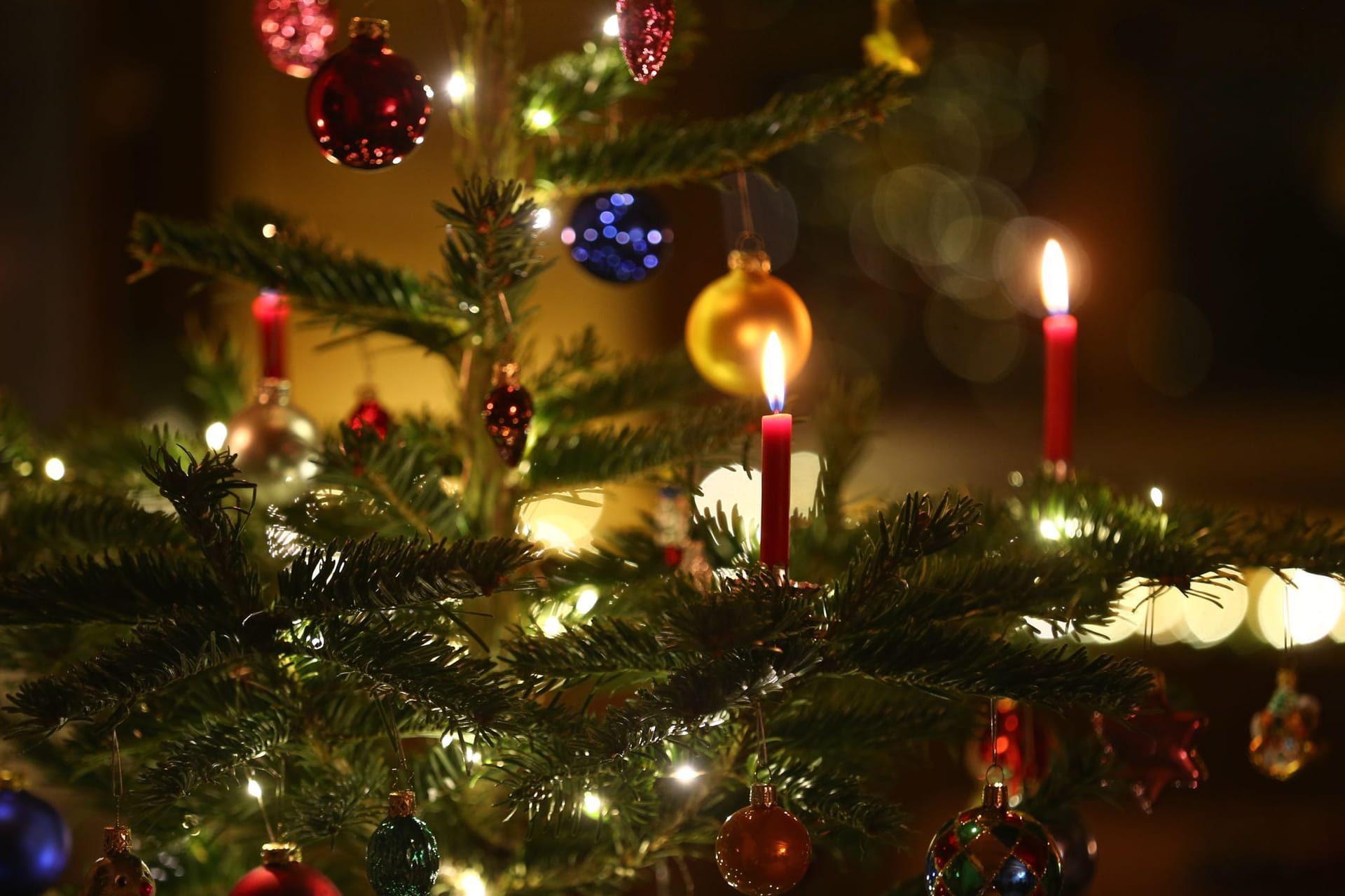 Weihnachtsbaum