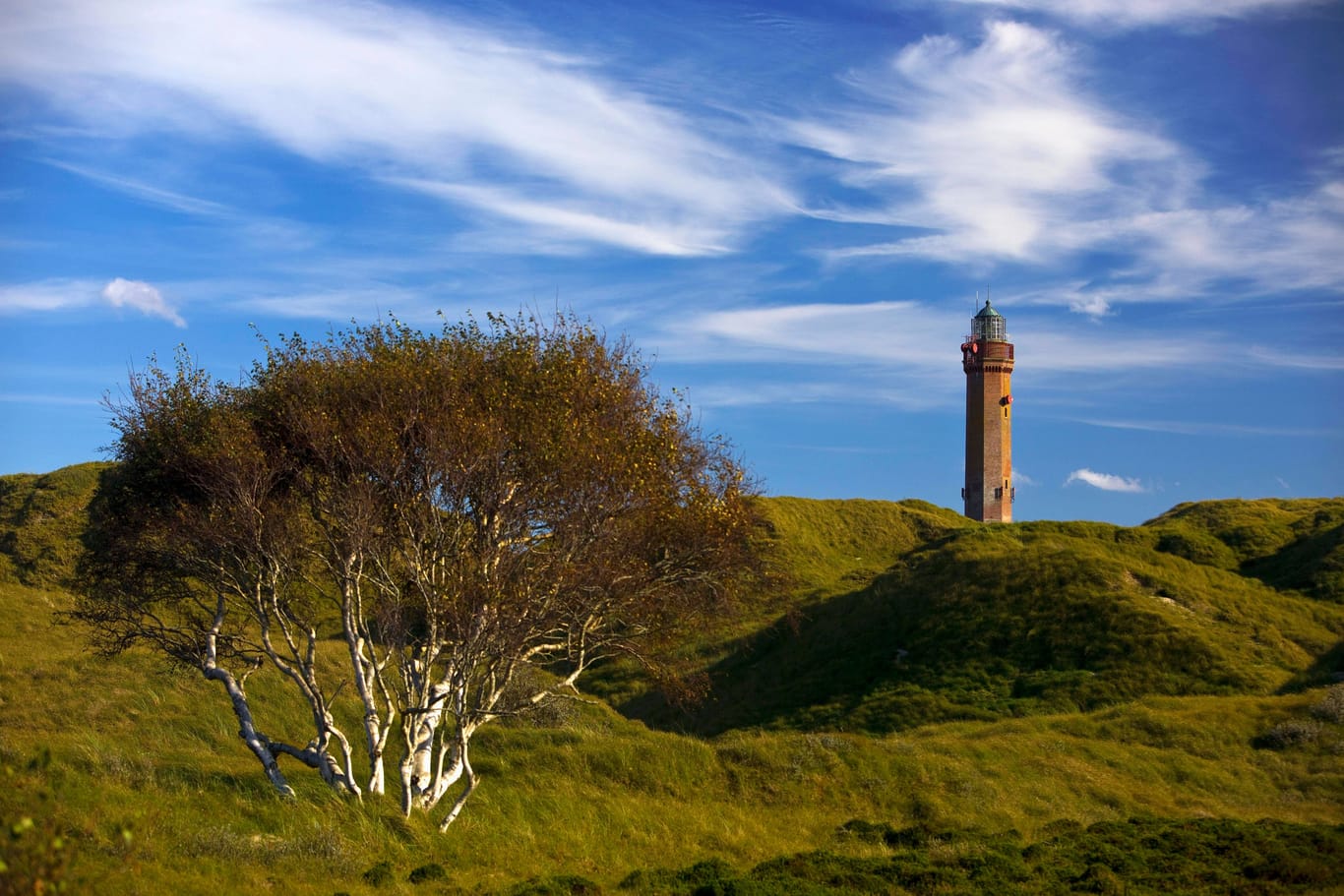 Großer Norderneyer Leuchtturm in der Dünenlandschaft (Symbolbild): Die Insel ist eine Touristen-Hochburg.