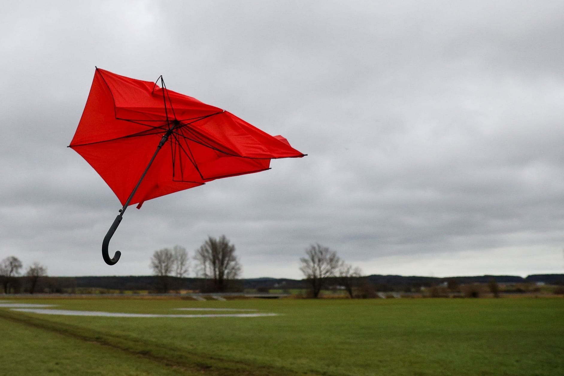 Wetter