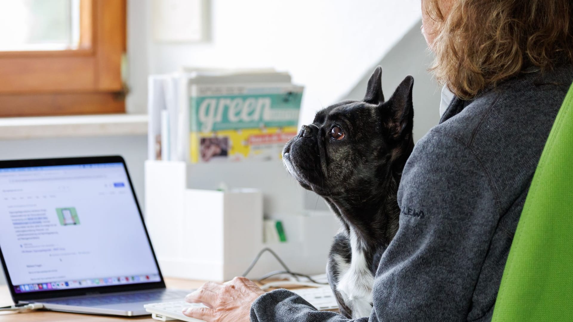 Hund im Büro Hund im Büro