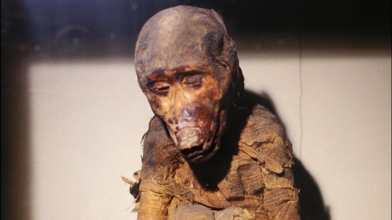 Diese Mumie eines Pavians wird im Ägyptischen Museum in Kairo ausgestellt.