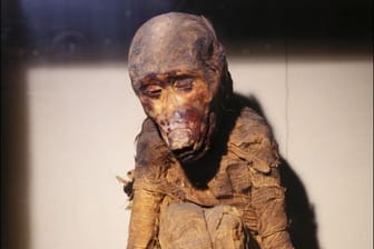 Diese Mumie eines Pavians wird im Ägyptischen Museum in Kairo ausgestellt.