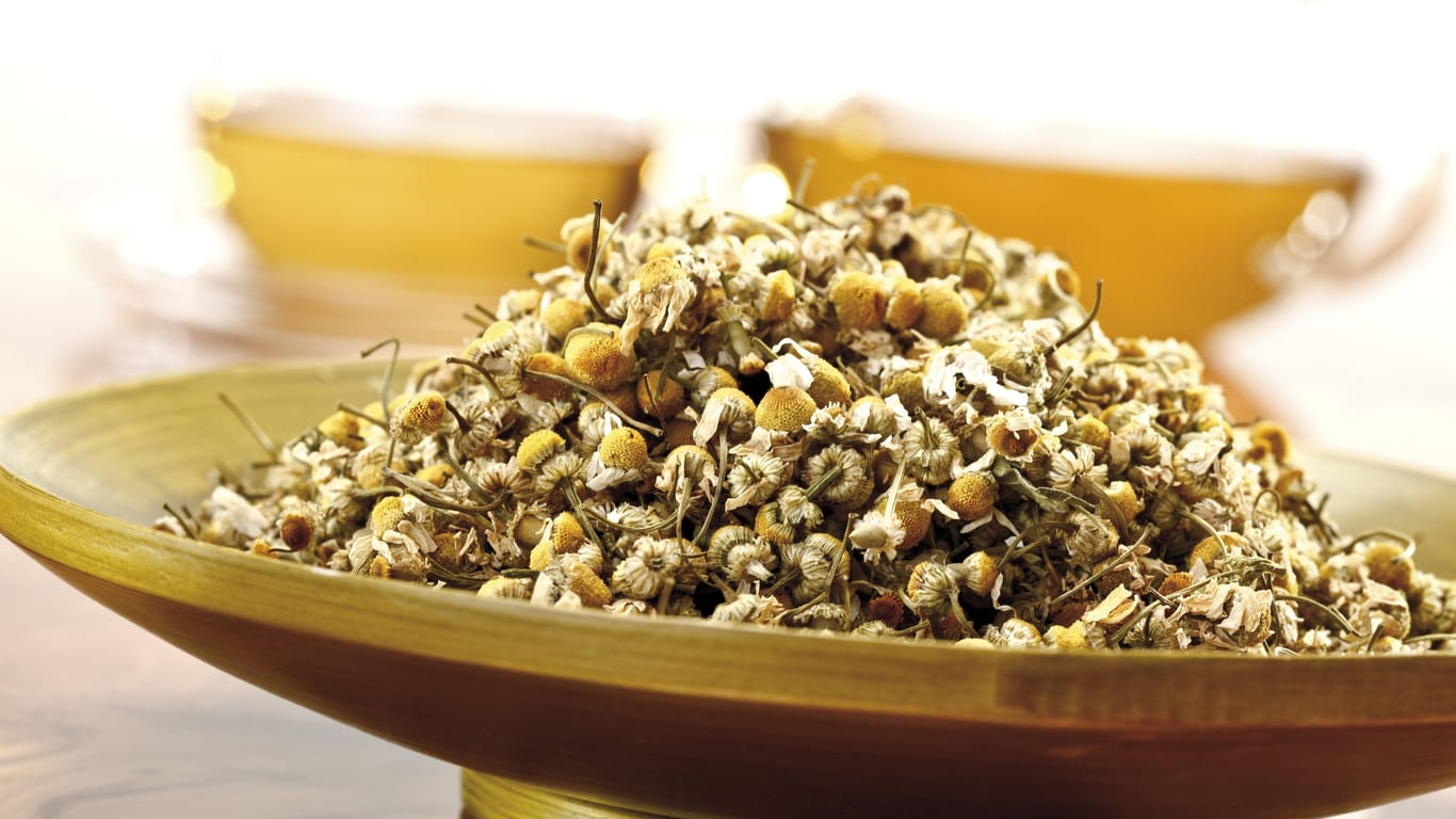 Kamille: Für den magenberuhigenden Tee werden die getrockneten Blüten verwendet.