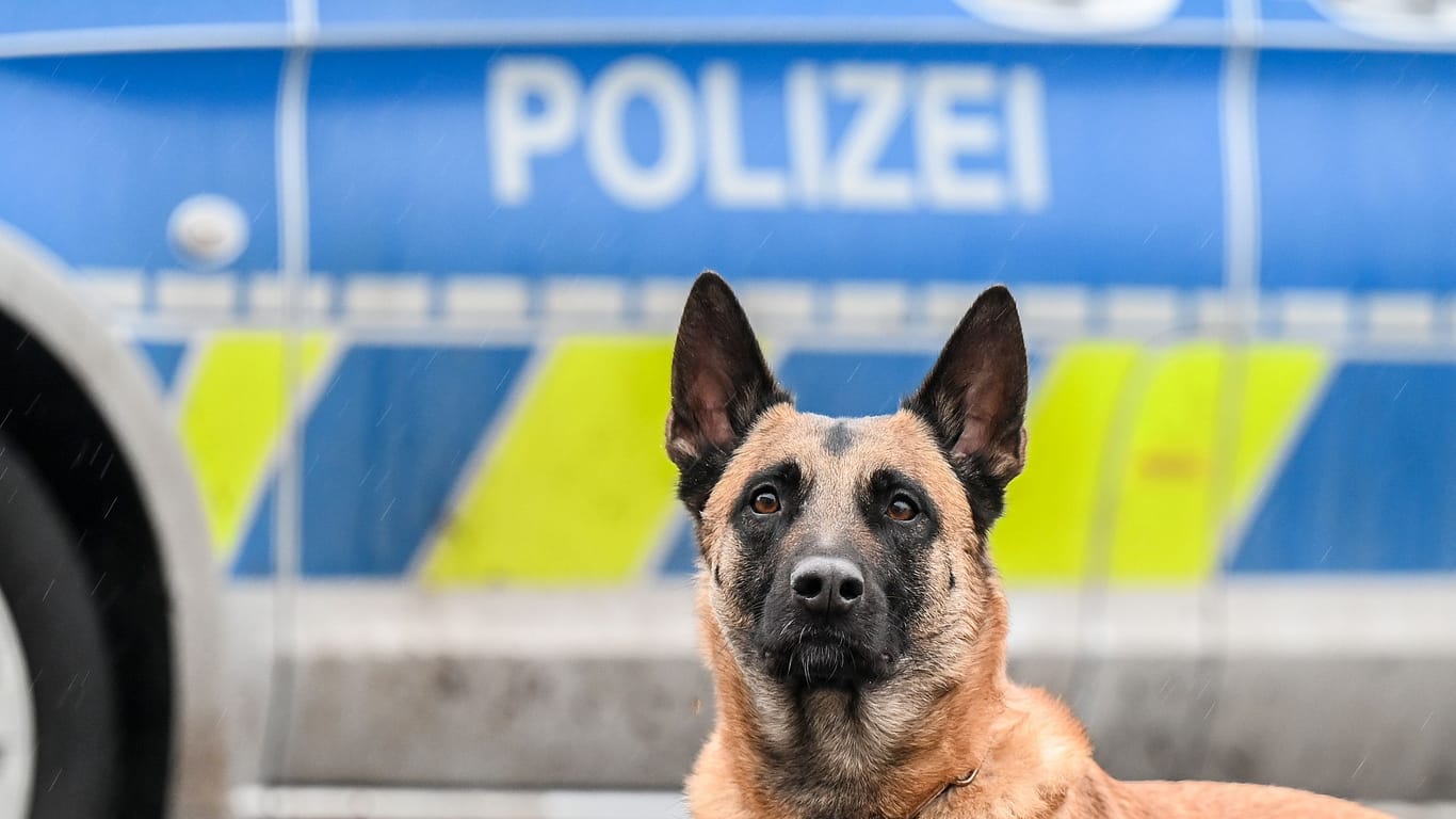 Ein Polizeihund (Symbolbild): Ein ehemaliger Polizeihundeführer wurde verurteilt.