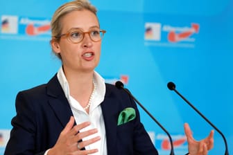 Alice Weidel, Fraktionschefin der AfD (Archivbild): Eine Insa-Umfrage zeigt, Deutschland würde rechts-konservativ wählen.