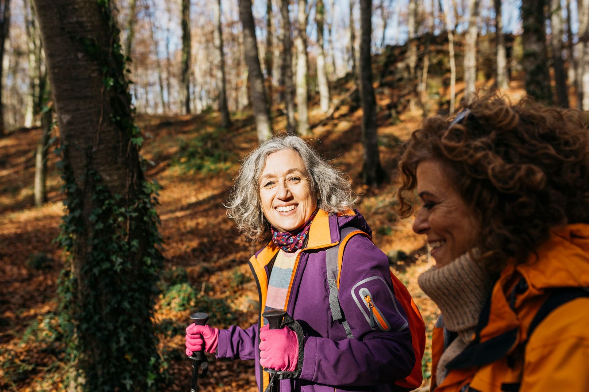 Nordic Walking ist ein gesundes Ganzkörpertraining, von dem Muskeln und Knochen profitieren.