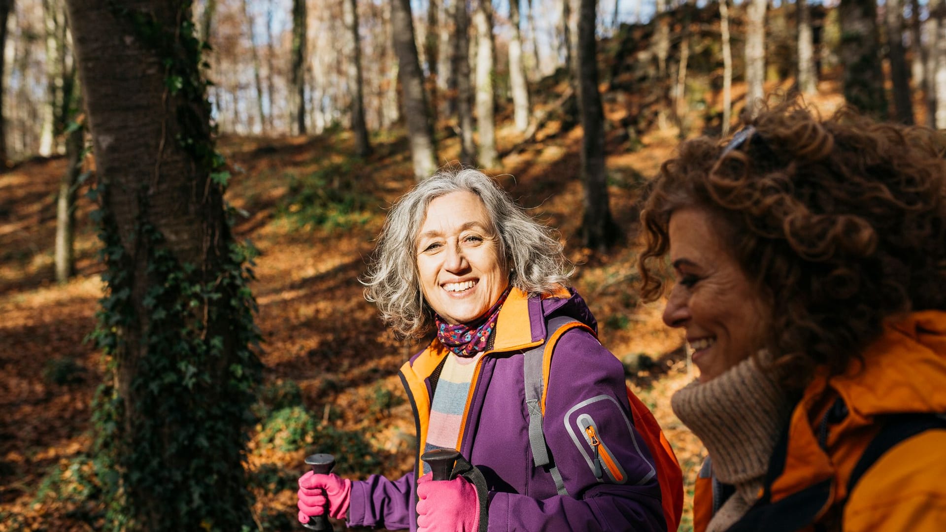 Nordic Walking ist ein gesundes Ganzkörpertraining, von dem Muskeln und Knochen profitieren.