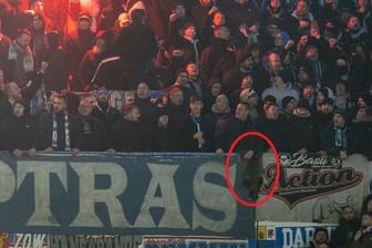 Rostocker Fans in Paderborn: Auch das Fell eines Marders war mit im Gästeblock.