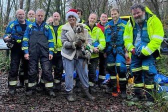 Wieder vereint: Die Küstenwache rettete im Süden Englands einen Hund und vereinte ihn wieder mit seiner Halterin.