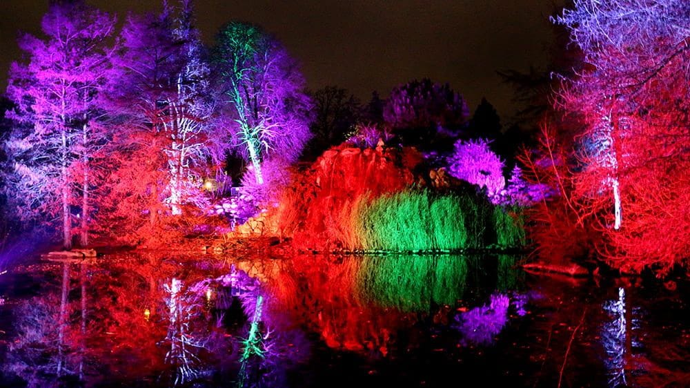 (Symbolfoto) Die Winterlichter tauchen den Palmengarten in Frankfurt in bunte Farben.