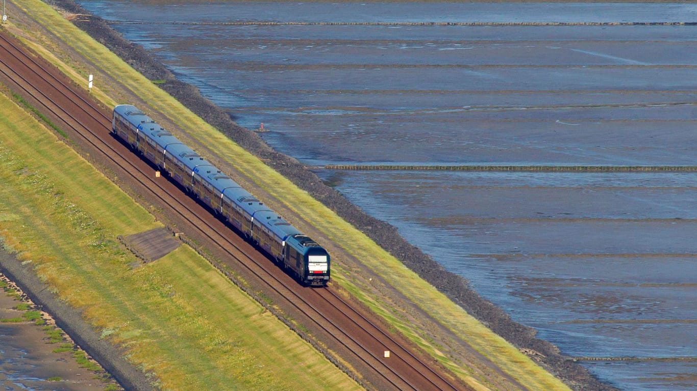 Ein Zug fährt auf dem Hindenburgdamm (Archivbild): Die einzige Verbindung zur Insel Sylt gehört zur sogenannten Marschbahn.