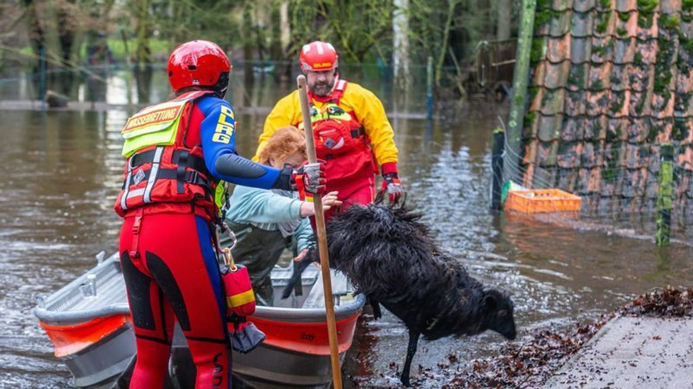 Mitarbeiter der DLRG retten in der Wedemark Heidschnucken: Etwa zehn Tiere wurden in Sicherheit gebracht.