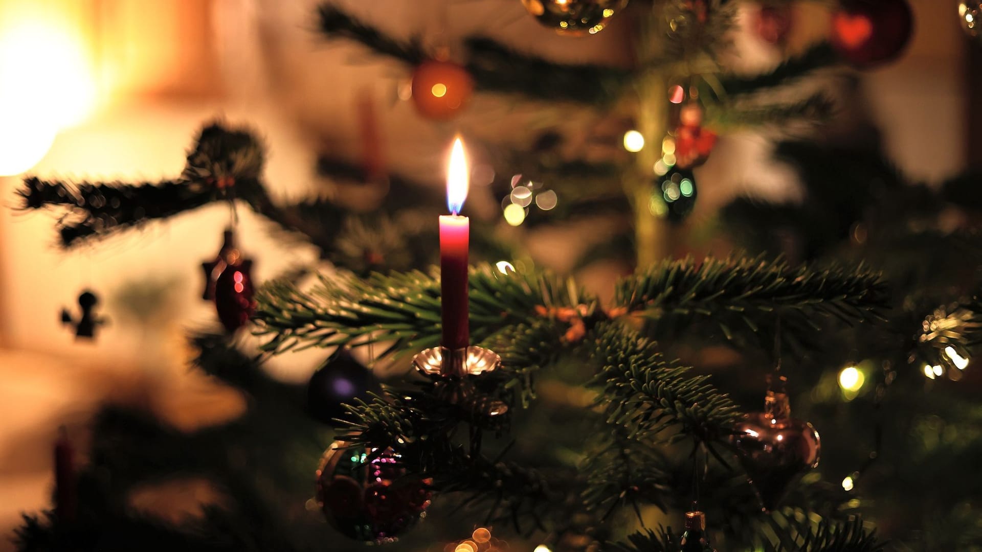 Weihnachtsbaum Weihnachtsbaum