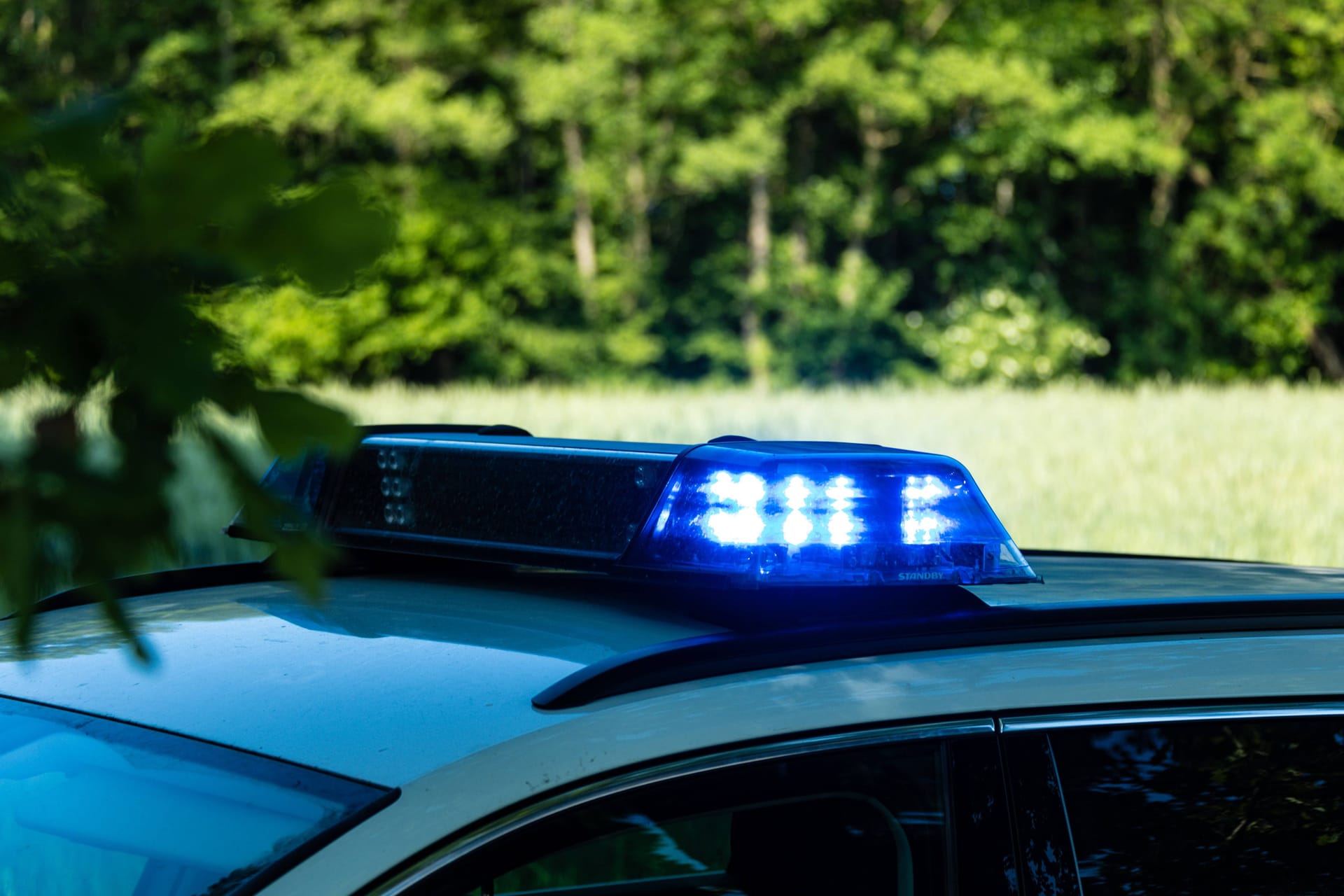 Streifenwagen mit Blaulicht vor einem Waldstück (Symbolbild): Die Frau war seit der vergangenen Woche vermisst.