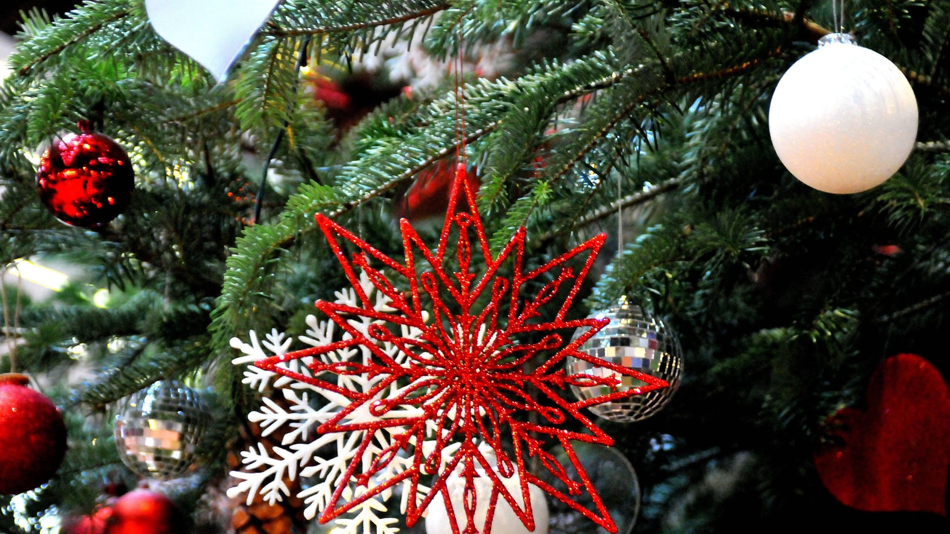 imago images 0373619860