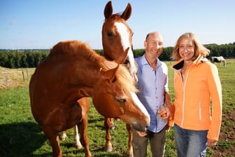 "Bauer sucht Frau": Pferdewirtschaftsmeister Hans aus Nordrhein-Westfalen und Elke