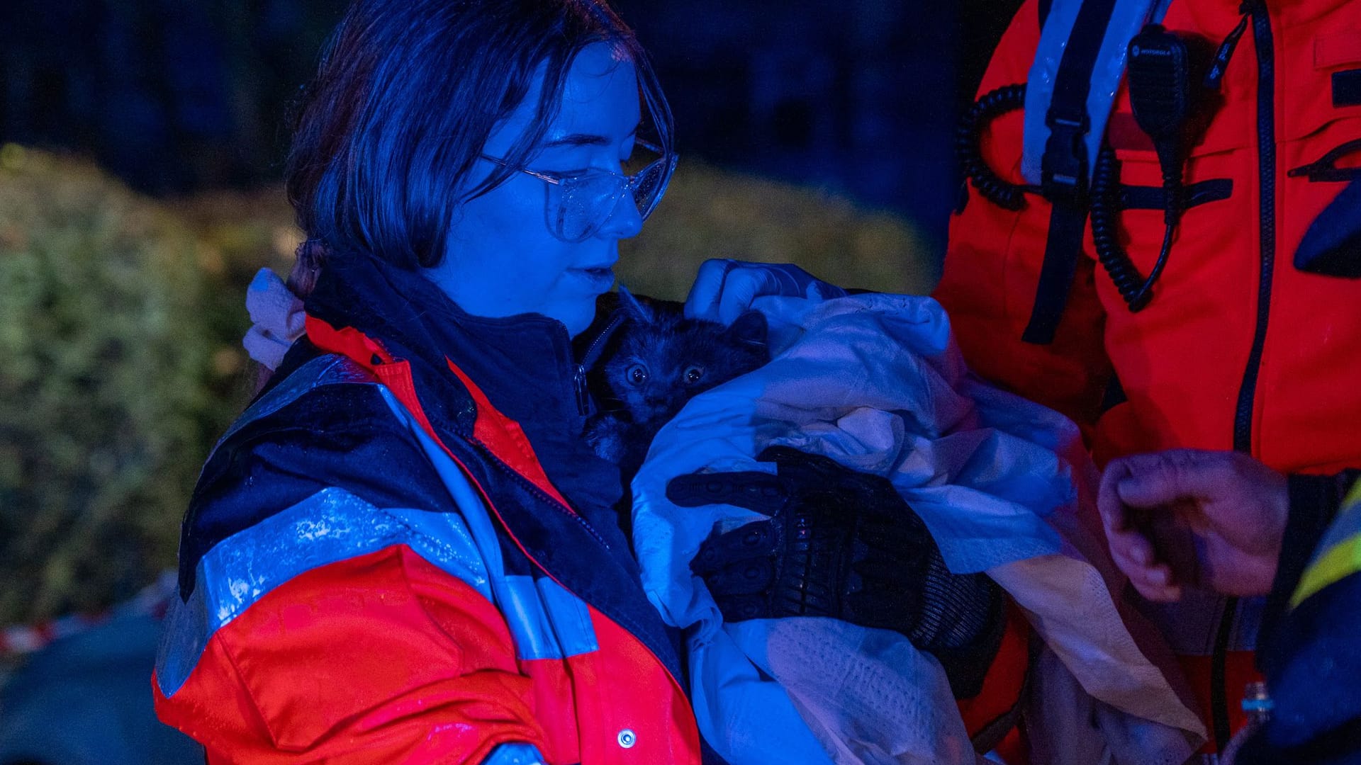 Auch ein Tier wurde in der Nacht aus den Flammen gerettet.